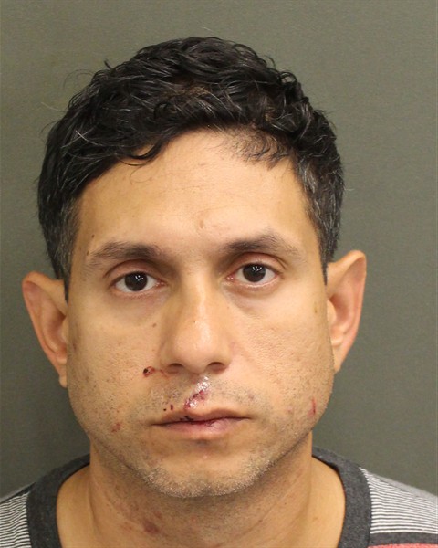  CHRISTIAN MARTIN DELGADOCALDERON Mugshot / County Arrests / Orange County Arrests