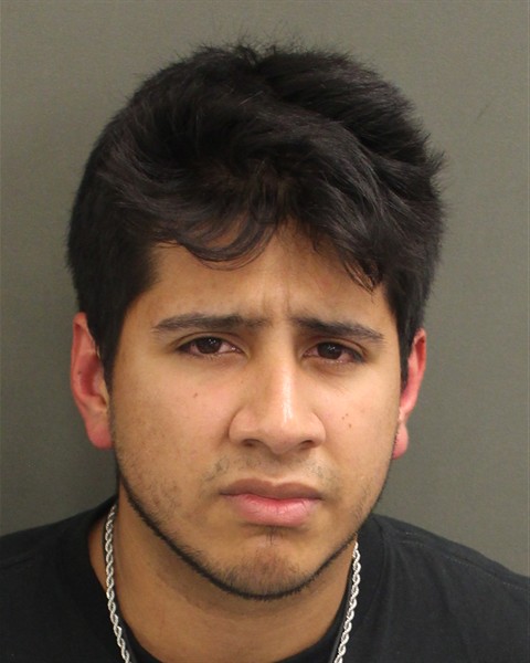 LUIS DAVID CASTROSUAREZ Mugshot / County Arrests / Orange County Arrests