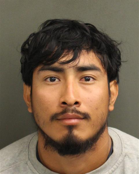  MARTIN LEONARDO DZIBCAN Mugshot / County Arrests / Orange County Arrests