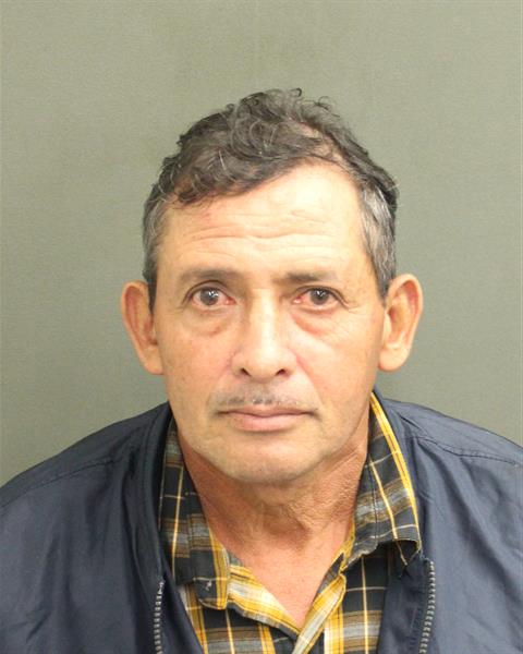  DELMI OMAR CASTANEDAMACHADO Mugshot / County Arrests / Orange County Arrests