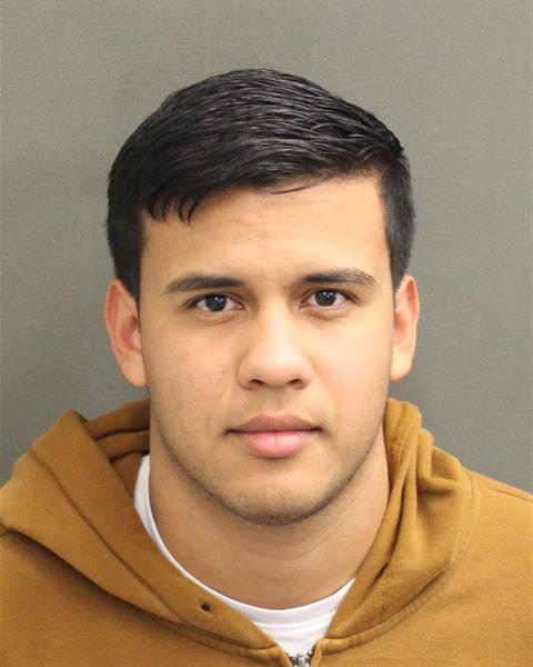  LUIYIMBER DAVID SANCHEZSANCHEZ Mugshot / County Arrests / Orange County Arrests
