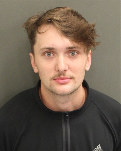  MORGAN WILLIAM BODNARYK Mugshot / County Arrests / Orange County Arrests