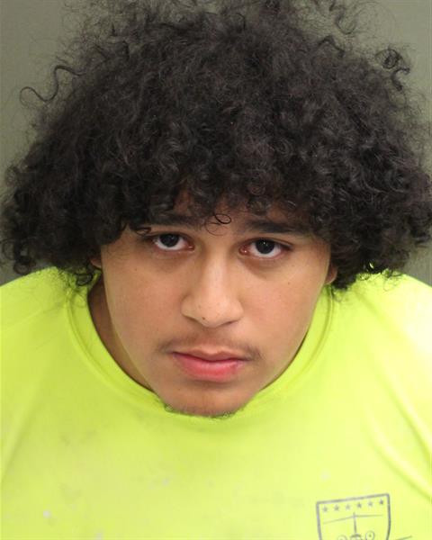  MELVIN ALBERTO CANOMEDINA Mugshot / County Arrests / Orange County Arrests