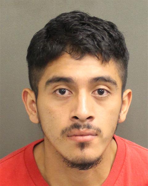  WILLIAMS ADALVERTO PARADA Mugshot / County Arrests / Orange County Arrests