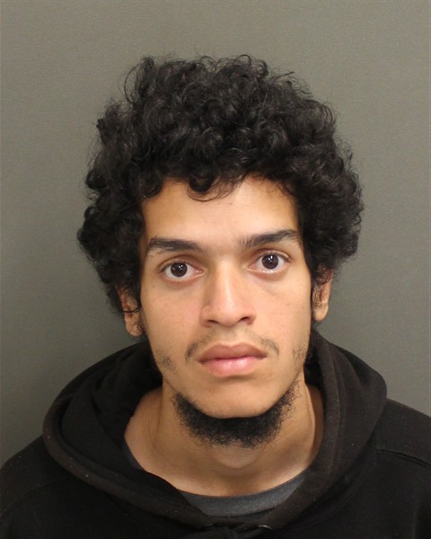  JANLEE TORRESGRAVE Mugshot / County Arrests / Orange County Arrests