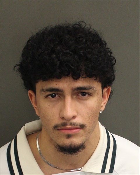  DIEGO PALADINEZSANTAMARIA Mugshot / County Arrests / Orange County Arrests