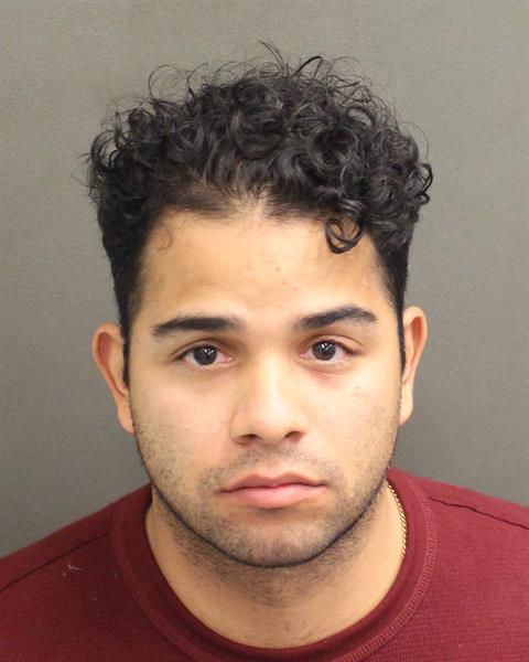  ADRIAN BRLETIC Mugshot / County Arrests / Orange County Arrests