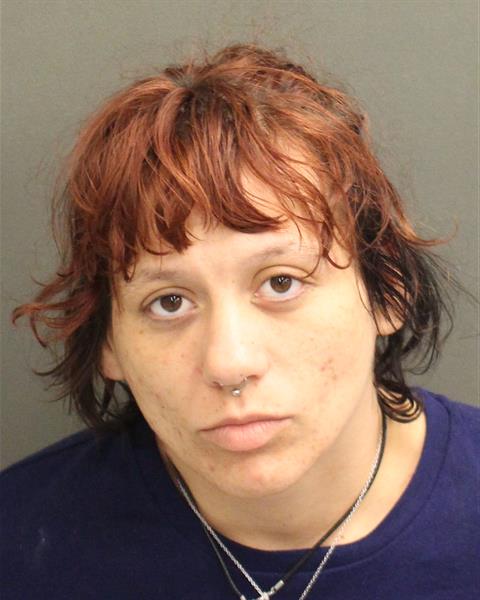  KAILYN MARIE ANDERSON Mugshot / County Arrests / Orange County Arrests