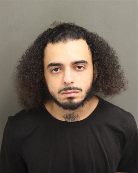  JULIAN DANILO SANCHEZ Mugshot / County Arrests / Orange County Arrests