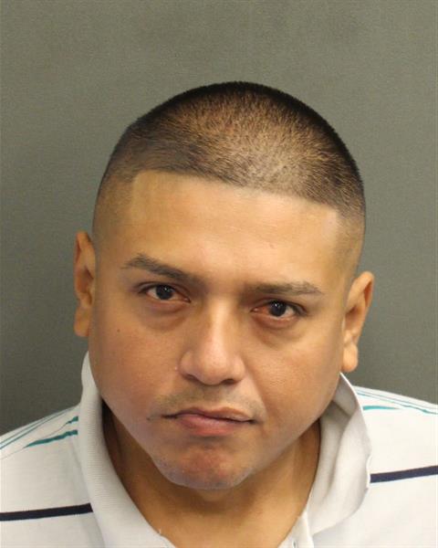  JOSE GUADALUPE VERGARAPALACIOS Photo Image