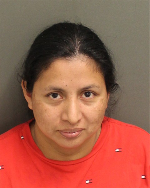  AMARILLIS LOPEZNAVARRO Mugshot / County Arrests / Orange County Arrests