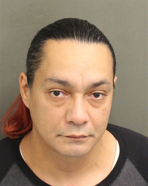  WILSON VIDAL Mugshot / County Arrests / Orange County Arrests