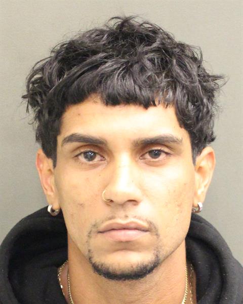 JERSEN MANUEL RUIZVILA Mugshot / County Arrests / Orange County Arrests