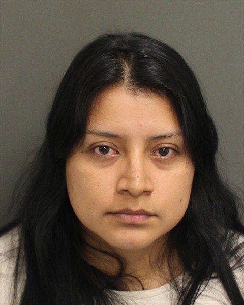  JENY SAMELY PEREZDIAZ Mugshot / County Arrests / Orange County Arrests