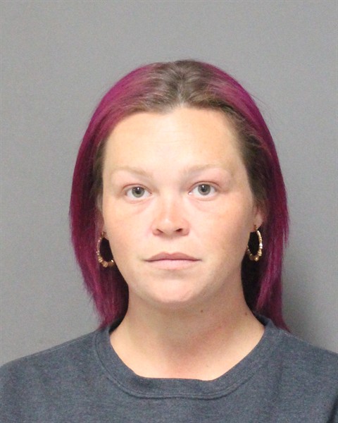  HEATHER LAUREEN WILLIAMS Mugshot / County Arrests / Orange County Arrests