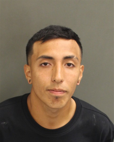  DEIVID LOZANOANAYA Mugshot / County Arrests / Orange County Arrests