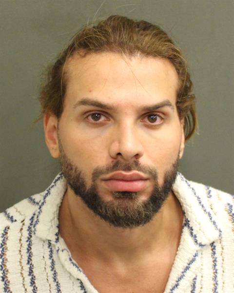  RODRIGO ALFONSO BONFANTETORDECILLA Mugshot / County Arrests / Orange County Arrests