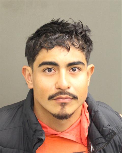  HECTOR ISMAEL AVALOS Mugshot / County Arrests / Orange County Arrests
