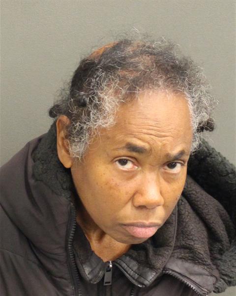  ANN MARIA HASSAN Mugshot / County Arrests / Orange County Arrests