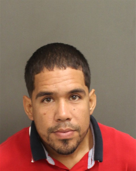  LUIS FERNANDO GALOLANZA Mugshot / County Arrests / Orange County Arrests