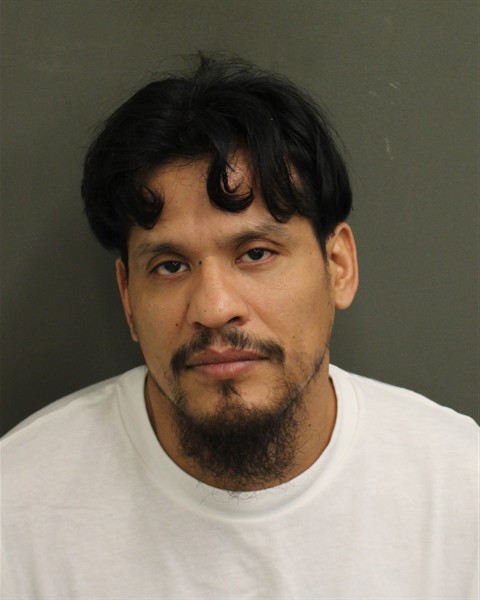  DAVID SIU Photo Image