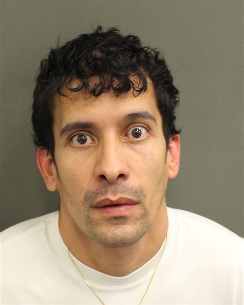  RANFYS FABIAN VALLESIMMONS Mugshot / County Arrests / Orange County Arrests
