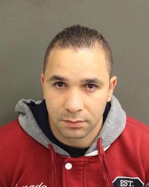  RODRIGO DEALVARENGAGOMES Photo Image