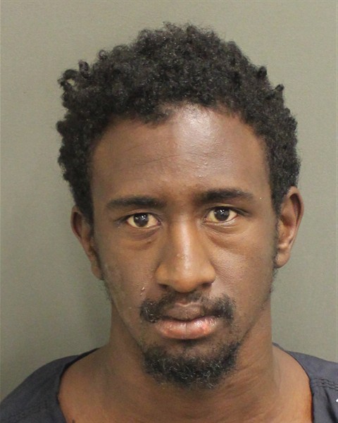 BRAD RADALE JR WILCOX Mugshot / County Arrests / Orange County Arrests