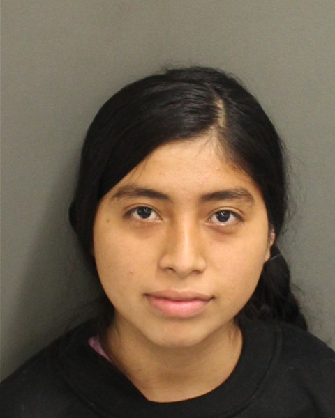  DANISELY MINELY BERNABECAL Mugshot / County Arrests / Orange County Arrests