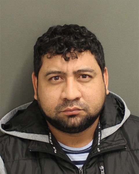  WINSTON AUSBERTO POLOGONZALEZ Mugshot / County Arrests / Orange County Arrests