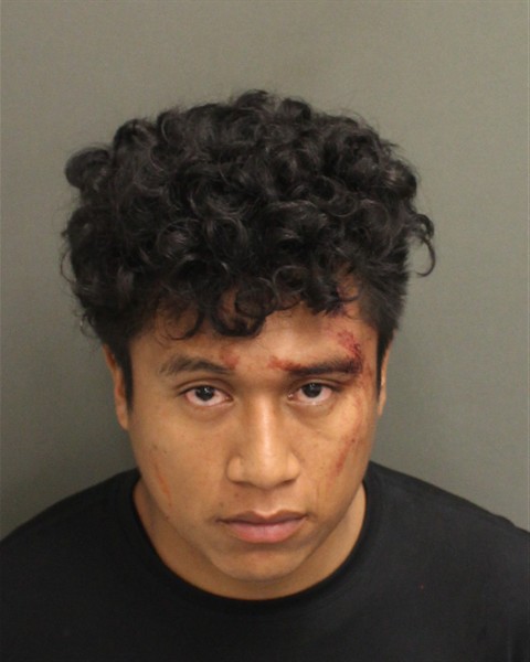  LIN CLINTON FLORESNERI Mugshot / County Arrests / Orange County Arrests