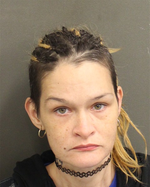  MELISSA SUE HODGES Mugshot / County Arrests / Orange County Arrests