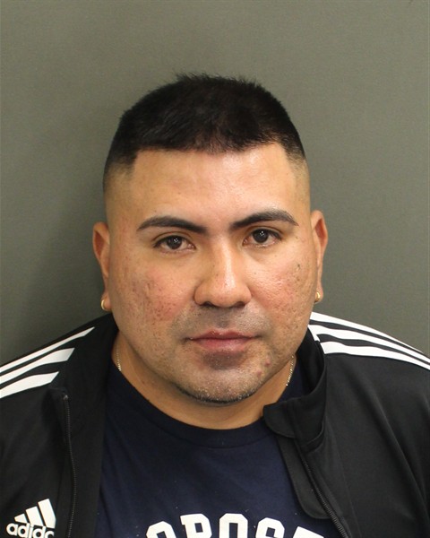  ALEXANDER FRANCIS GRANADINO Mugshot / County Arrests / Orange County Arrests