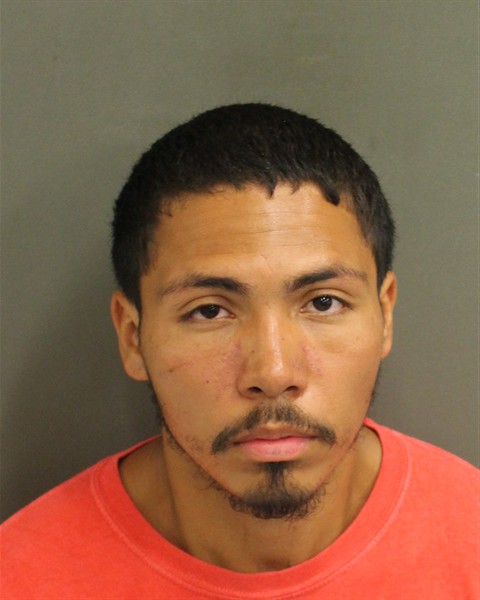  NOAH HORACE HAMMONDS Mugshot / County Arrests / Orange County Arrests