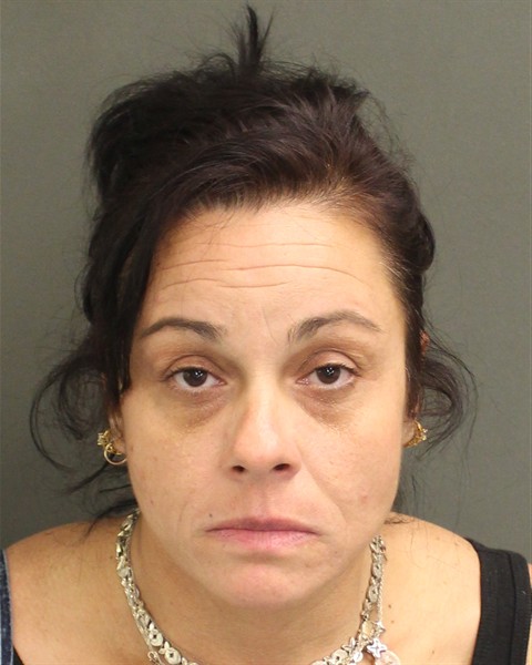  CHRISTINA ANN SANSEVERINO Mugshot / County Arrests / Orange County Arrests
