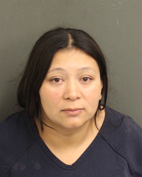  MARITZA CORTES PALOMO Mugshot / County Arrests / Orange County Arrests