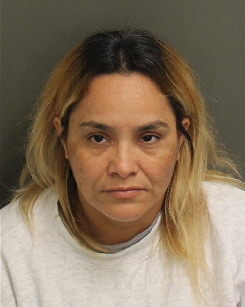  REYNA FATIMA LINAGAMEZ Mugshot / County Arrests / Orange County Arrests
