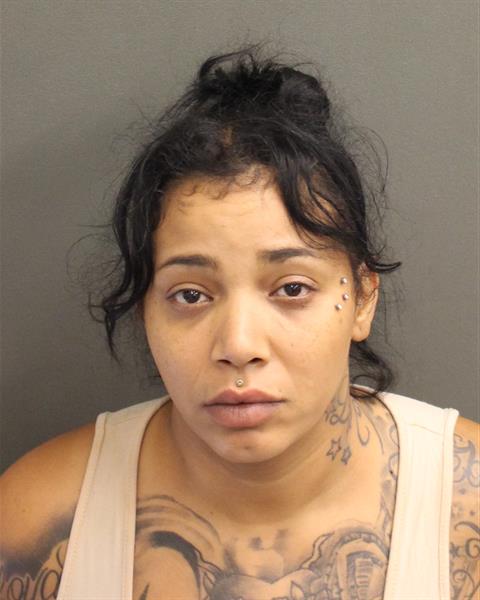  LIZ VANESSA GONZALEZ Mugshot / County Arrests / Orange County Arrests