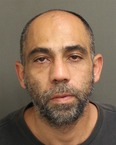  RAMON  JR BORROTO Mugshot / County Arrests / Orange County Arrests