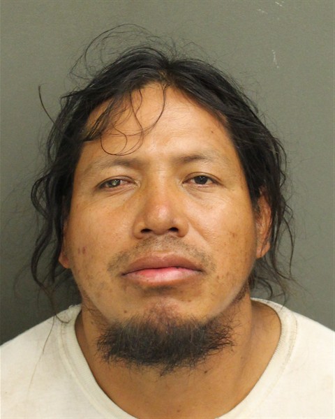  PEDRO DE PED DIEGOLORENZO Mugshot / County Arrests / Orange County Arrests