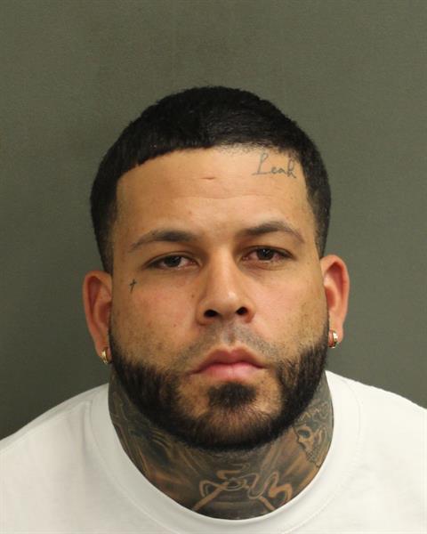  FELIPE SARDUYLOPEZ Mugshot / County Arrests / Orange County Arrests
