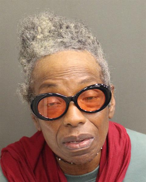  LUVETTE COPPOCK Mugshot / County Arrests / Orange County Arrests