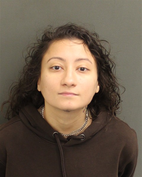  ANNAMARIE SASSO Mugshot / County Arrests / Orange County Arrests