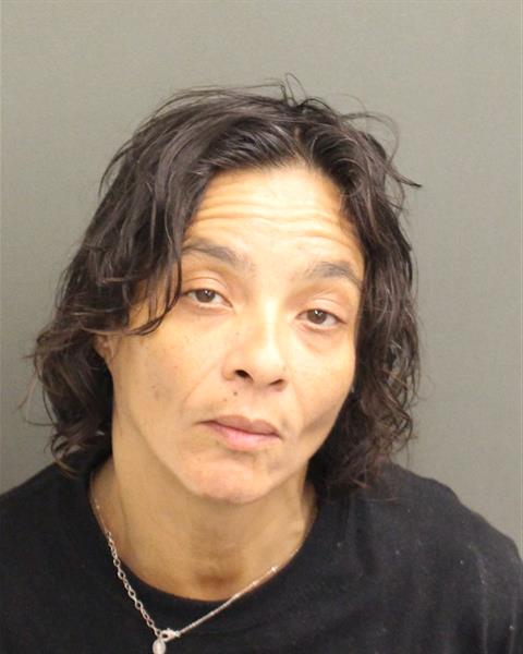  DELIA MARGARITA RIVERARIVERA Mugshot / County Arrests / Orange County Arrests