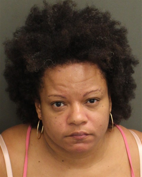  YASIBEL ANGELA PINEDA Mugshot / County Arrests / Orange County Arrests