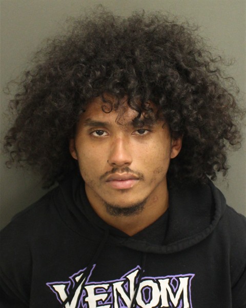  DAVID JOHN II PINELA Mugshot / County Arrests / Orange County Arrests