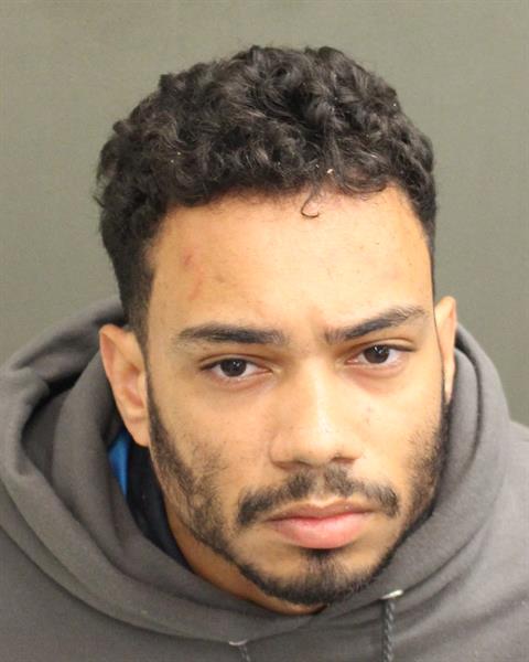  SEAN RYAN MITCHELL Mugshot / County Arrests / Orange County Arrests