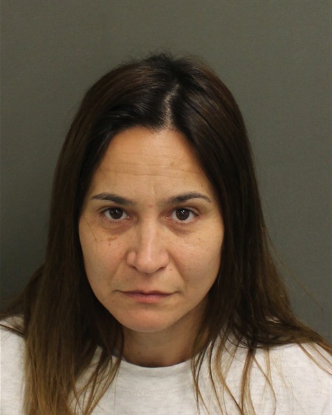  DANIELA INES TEIXEIRAOZANO Mugshot / County Arrests / Orange County Arrests