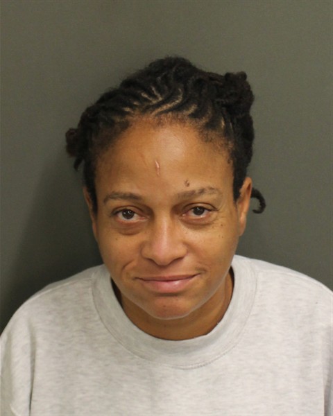  ALENA LARRAZABALCAPIRO Mugshot / County Arrests / Orange County Arrests