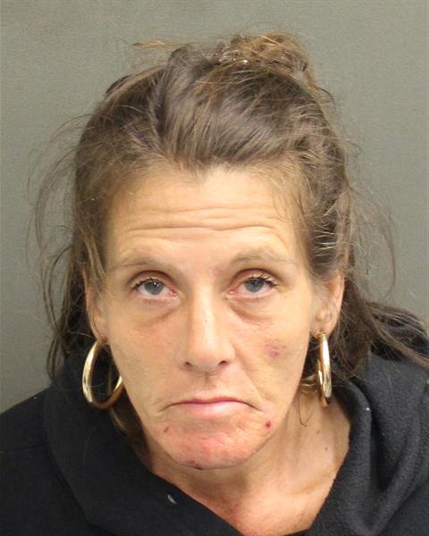  CYNTHIA DAWN HANEY Mugshot / County Arrests / Orange County Arrests